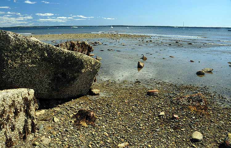 beach at low tide